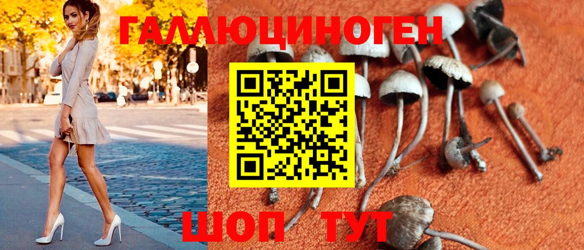 Видное  цены наркотик  Вход с VPN  Псилоцибиновые грибы GOLDEN TEACHER 