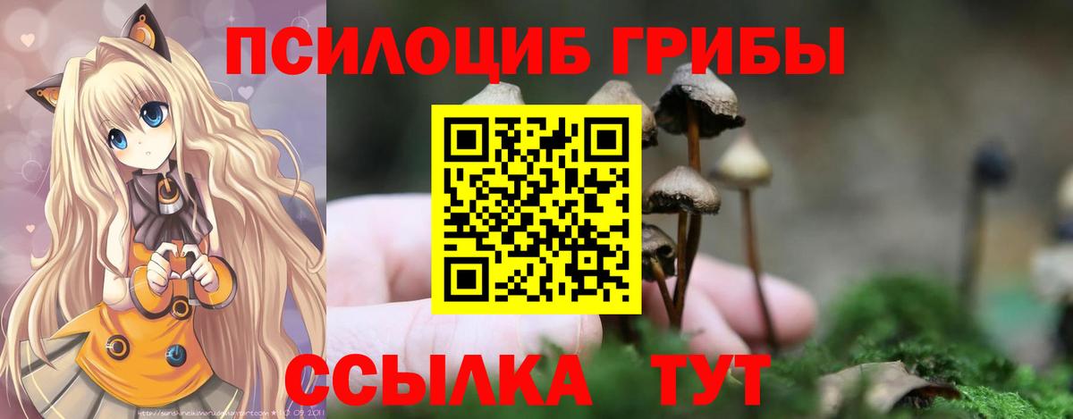 Псилоцибиновые грибы прущие грибы Видное
