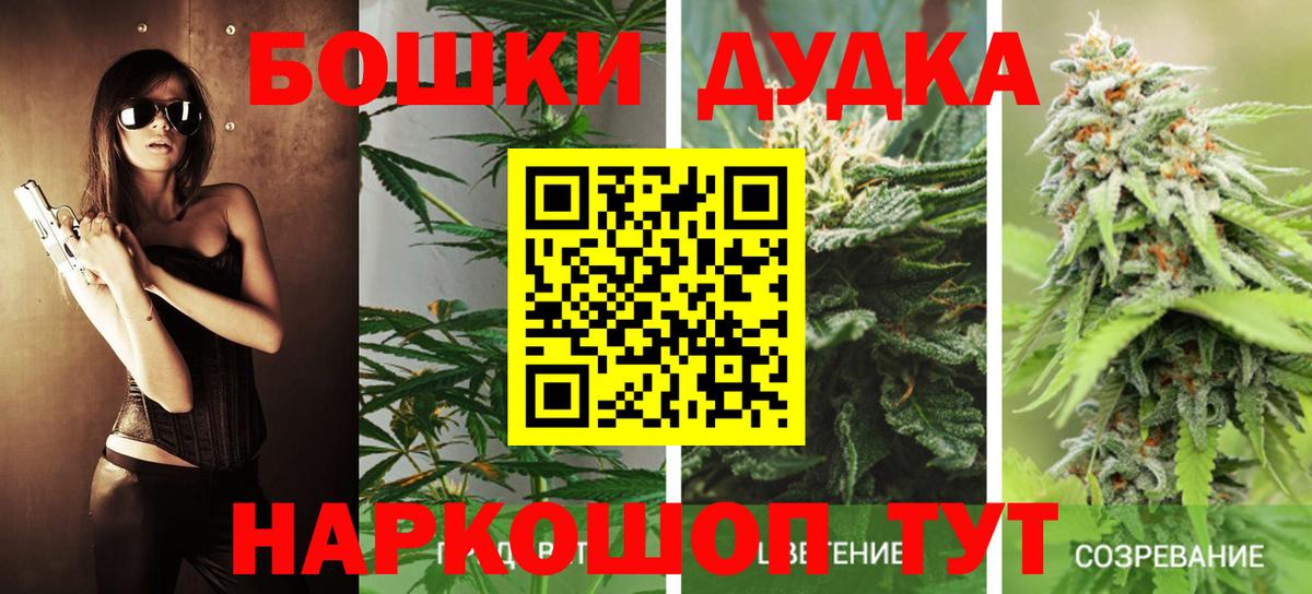 Конопля White Widow  Бошки Шишки SATIVA & INDICA  Каннабис конопля  Видное  МАРИХУАНА Ganja  Вход с VPN 